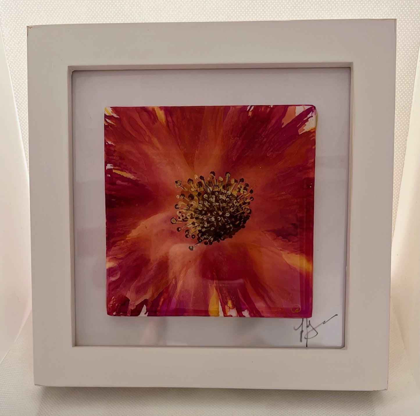 T14 - Pink Bloom in a White Frame