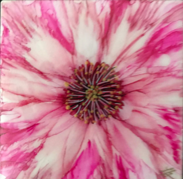 C-004 (5”x7”) Bloomin' in Pink with white envelope