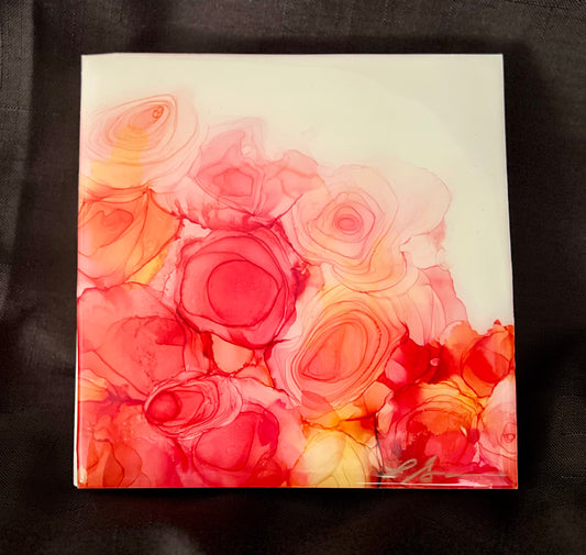 A26-001 Knockout Roses A