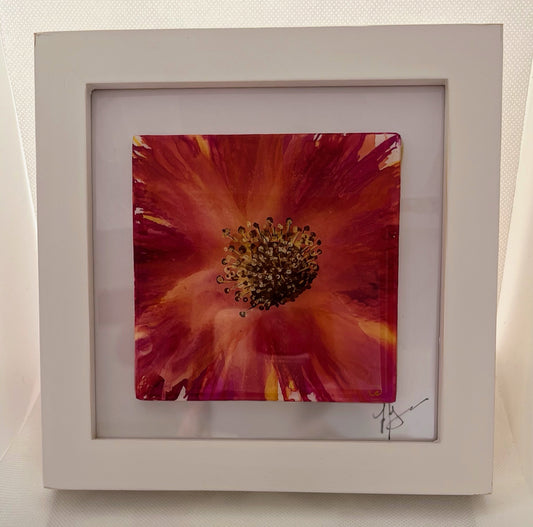 T14 - Pink Bloom in a White Frame
