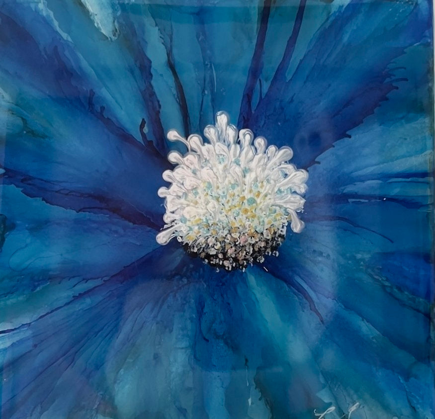 C-003  (5”x7”) Bloomin' in Blue with White Center and white envelope